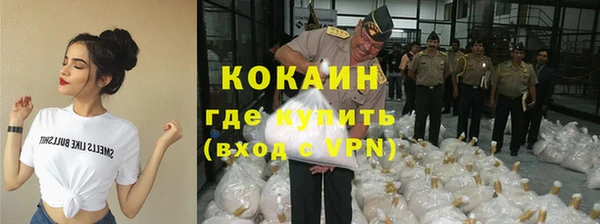 твердый Алексеевка